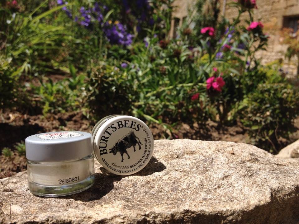 10155178_643228962419594_8591454894784800290_n