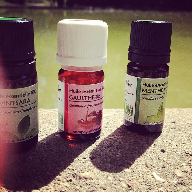 10326567_1403997149880558_2067583467_n