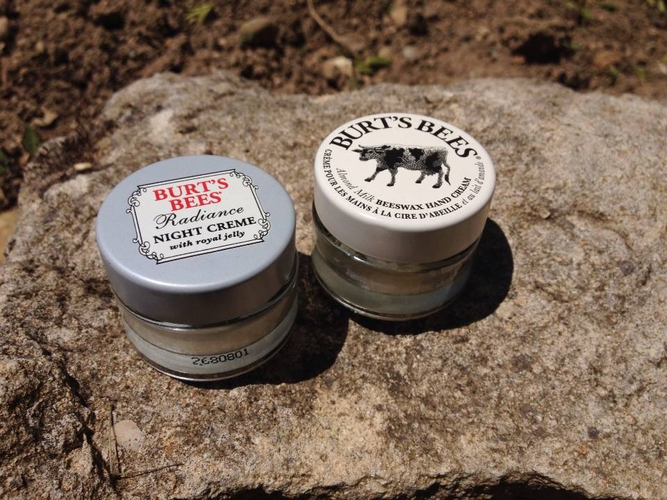 10352398_643228972419593_1772505943923655723_n