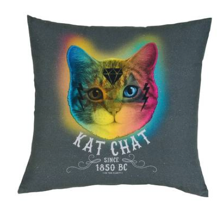 coussin chat