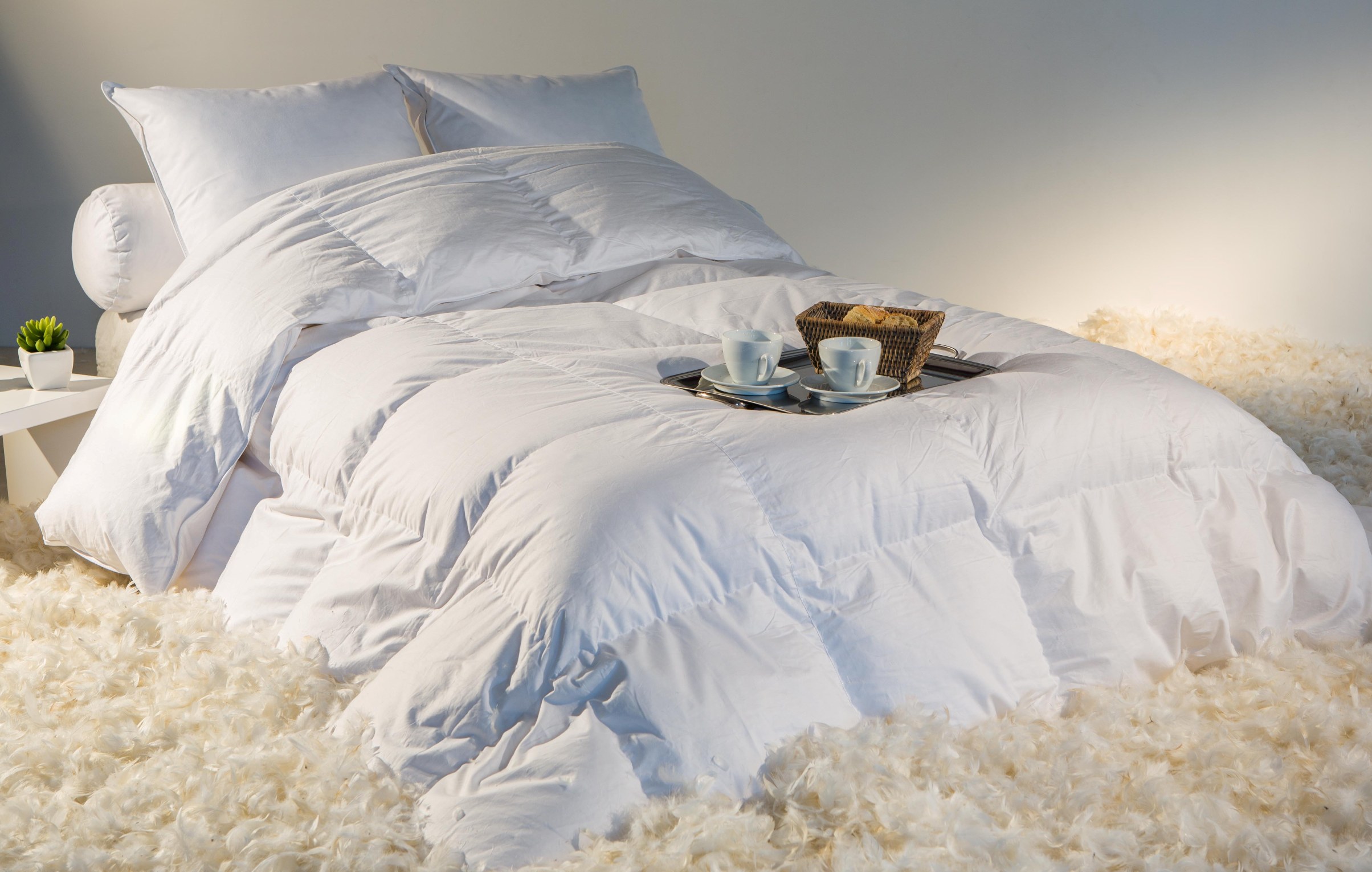 Couette_Castex_duvet